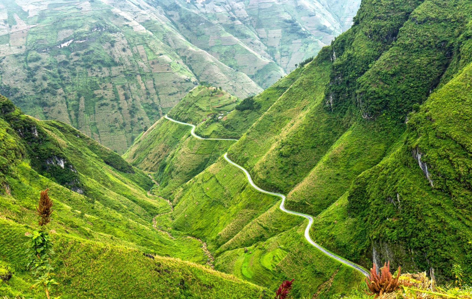 Hà Giang mùa hoa Tam Giác Mạch không thể bỏ lỡ.