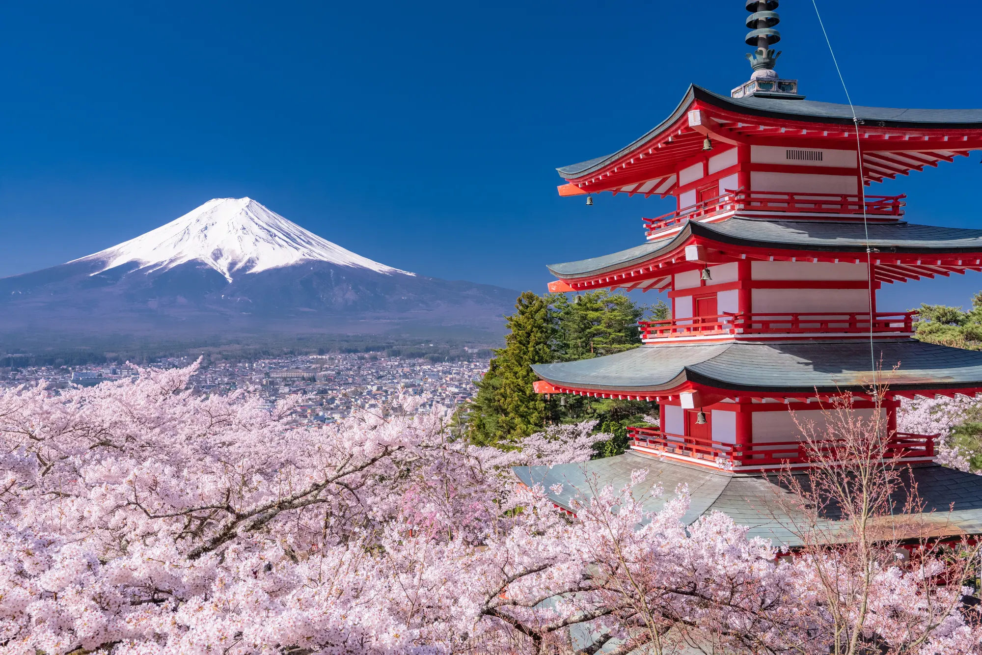 Cung Đường Vàng Osaka - Nara - Kyoto - Yamanashi - Tokyo - Narita